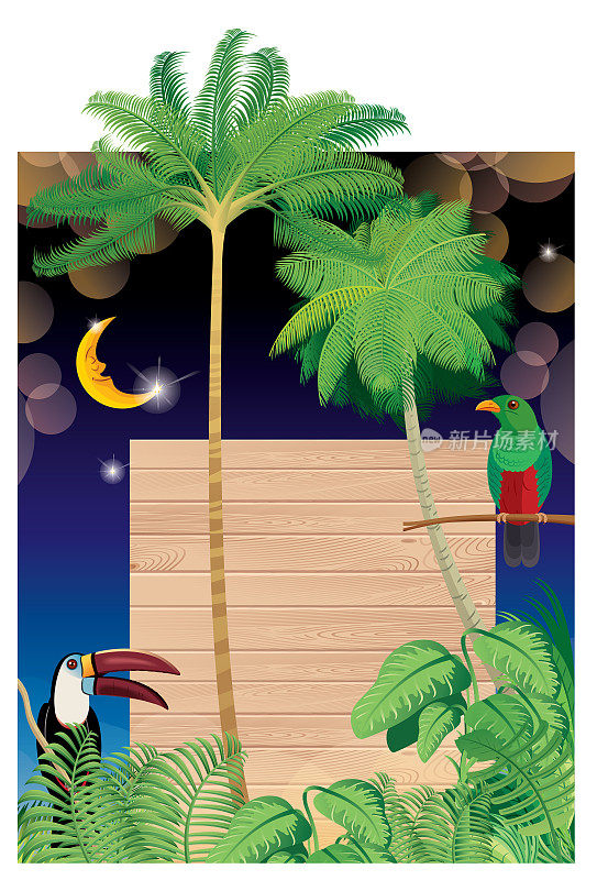 Wooden background and Toucan